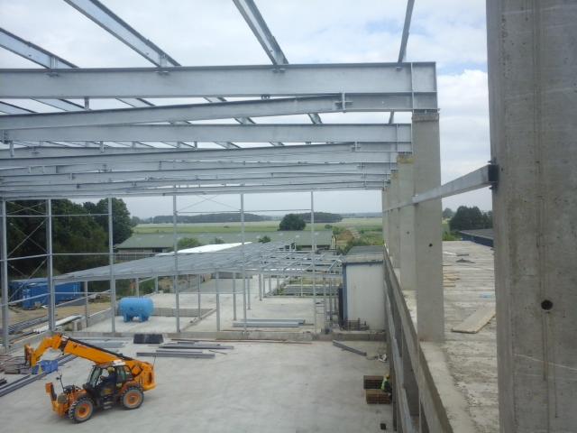 Budowa hali: stalowa konstrukcja szkieletowa z widocznym podnośnikiem i betonowymi słupami na tle zieleni. Widać etap montażu konstrukcji.