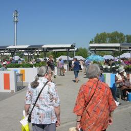 Mikostudio Krzysztof Pocałujko - Targowisko miejskie w słoneczny dzień: stragany z roślinami pod zadaszeniem, spacerujący ludzie, błękitne niebo i wysoka wieża telekomunikacyjna w tle.