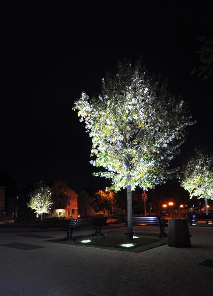 Nocny widok na oświetlone drzewo z ławkami w parku miejskim. Światła podkreślają korony drzew, tworząc jasne punkty na tle ciemnego nieba i budynków.