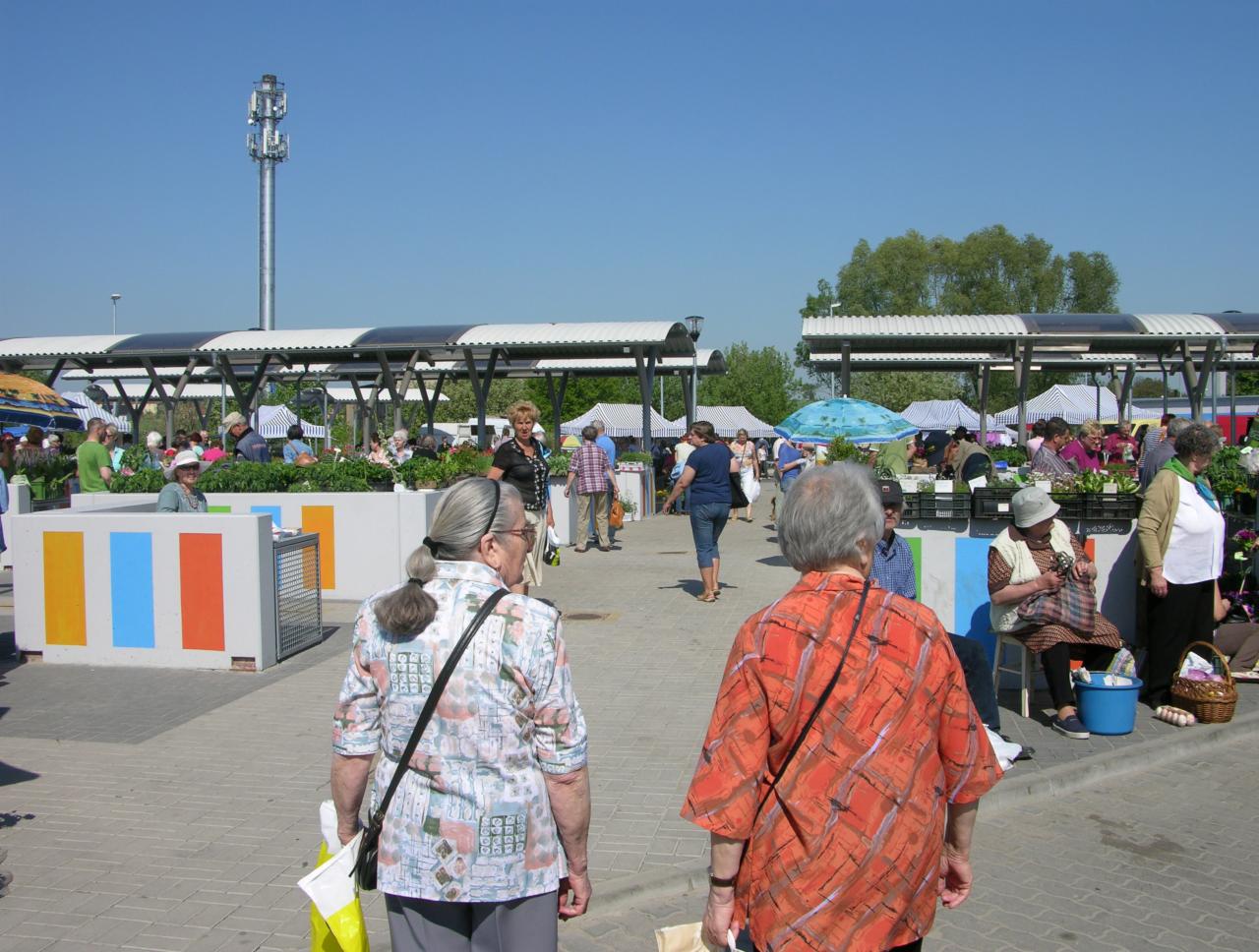Targowisko miejskie w słoneczny dzień: stragany z roślinami pod zadaszeniem, spacerujący ludzie, błękitne niebo i wysoka wieża telekomunikacyjna w tle.