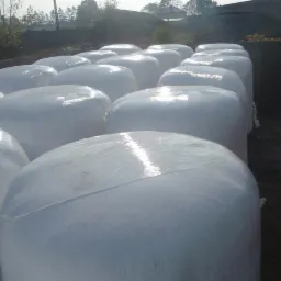 Rząd białych, okrągłych balotów owiniętych folią na polu; w tle budynki i drzewa. Baloty ułożone równo, odbijają światło słoneczne.