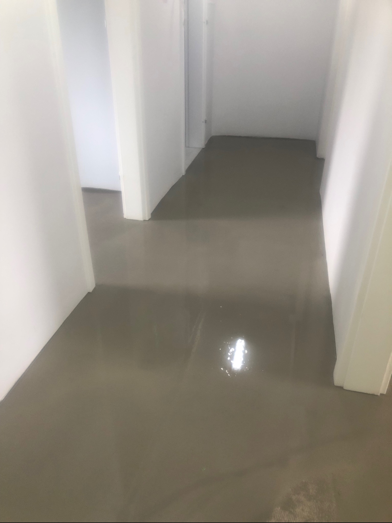 Świeżo wylana, samopoziomująca wylewka podłogowa w korytarzu z białymi ścianami i framugami drzwi, z widocznym połyskiem i odbiciem światła na powierzchni.