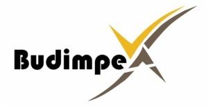 Logo Budimpex z czarnym napisem i abstrakcyjnym znakiem graficznym w odcieniach brązu i żółci, umieszczone na białym tle. Minimalistyczny design.