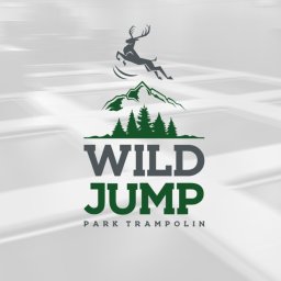 Projekt logotypu parku trampolin.