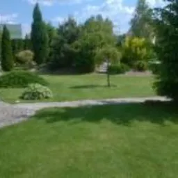 Ogród z trawnikiem, ścieżką z jasnej kostki i ozdobnymi krzewami. Widok z boku domu, w tle drzewa i krzewy. Słoneczny dzień, bujna zieleń.