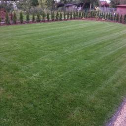 BENIAMIN GŁOBIŃSKI OGRODY - Perfekcyjnie przystrzyżony trawnik z wyraźnymi pasami koszenia, obrzeża z niskich tuj i kory, widok na ogród z drewnianymi budynkami w tle.