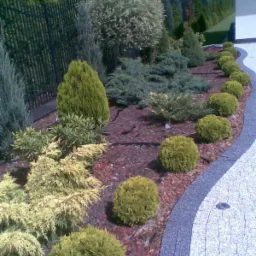 Ogród z różnorodnymi iglakami i kulistymi krzewami, wyściółkowany korą, obok ścieżki z kostki brukowej i czarnego metalowego ogrodzenia.
