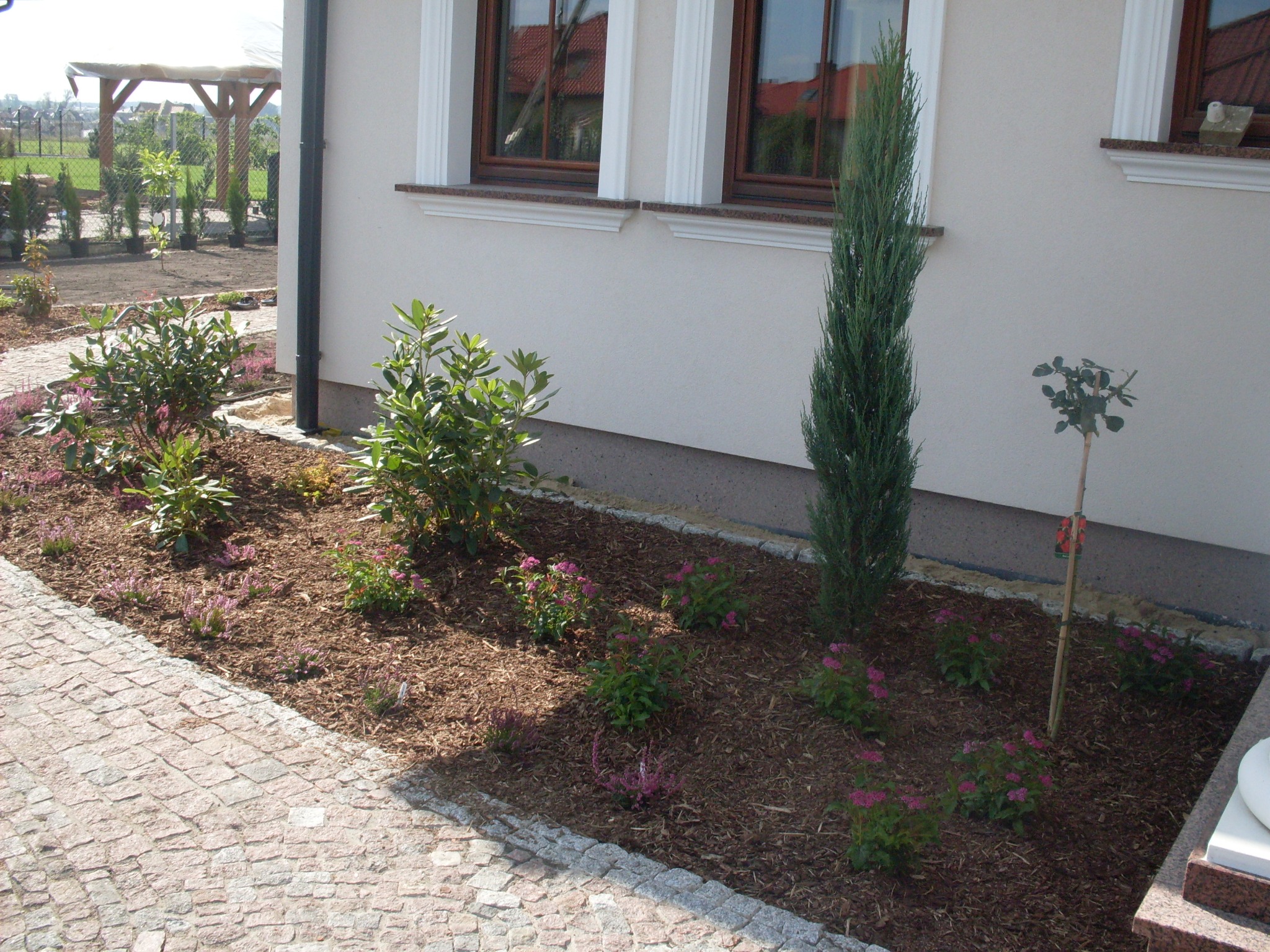 Kwadratowy klomb z korą, niskimi krzewami i młodymi drzewkami iglastymi przy domu w Pabianicach, obrzeże z kostki granitowej, kamienny chodnik.