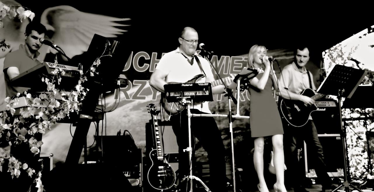 Wesela, imprezy okolicznościowe i integracyjne.