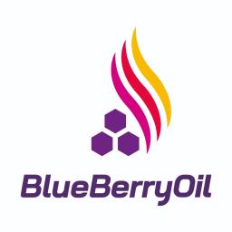 BlueBerryOil Spółka z ograniczoną odpowiedzialnością S.K.A. - Sprzedaż Opału Poznań