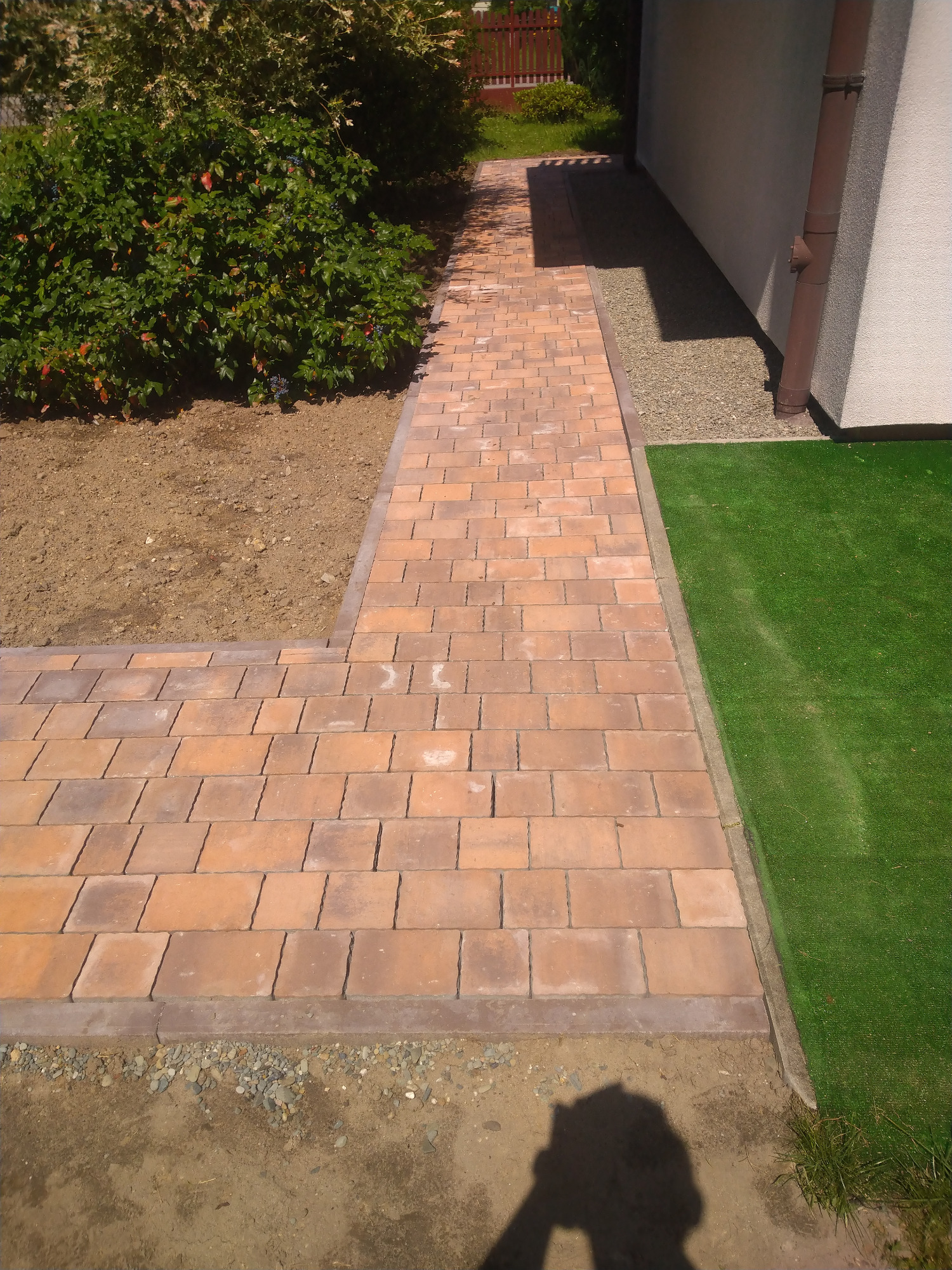 Ułożona ścieżka z ceglanej kostki brukowej prowadząca wzdłuż budynku z brązową rynną, obok sztucznej trawy i krzewu z czerwonymi owocami, cień osoby w rogu.