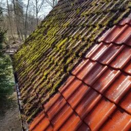 Częściowo oczyszczony dach z czerwonej dachówki, po lewej stronie widoczny gruby porost mchu, po prawej czysta, mokra powierzchnia dachówek, w tle drzewa bez liści.