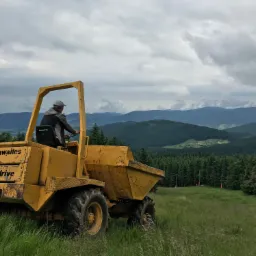 Żółta wywrotka Thwaites Alldrive na trawiastym zboczu z widokiem na zalesione wzgórza i pochmurne niebo.
