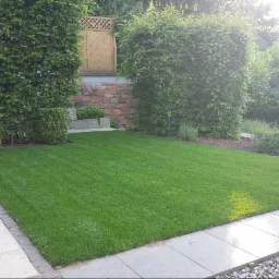 Idealnie przystrzyżony trawnik z rolki, obrzeża z jasnych płyt, tło z formowanych krzewów i muru z piaskowca, delikatne oświetlenie poranne.