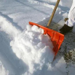 Odśnieżanie i utrzymanie w Rezydencji, Domu, Firmie