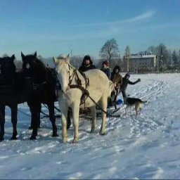 Agencja Eventowa Miłków 1