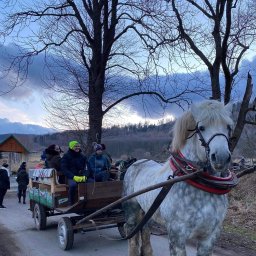 Agencja Eventowa Miłków 3
