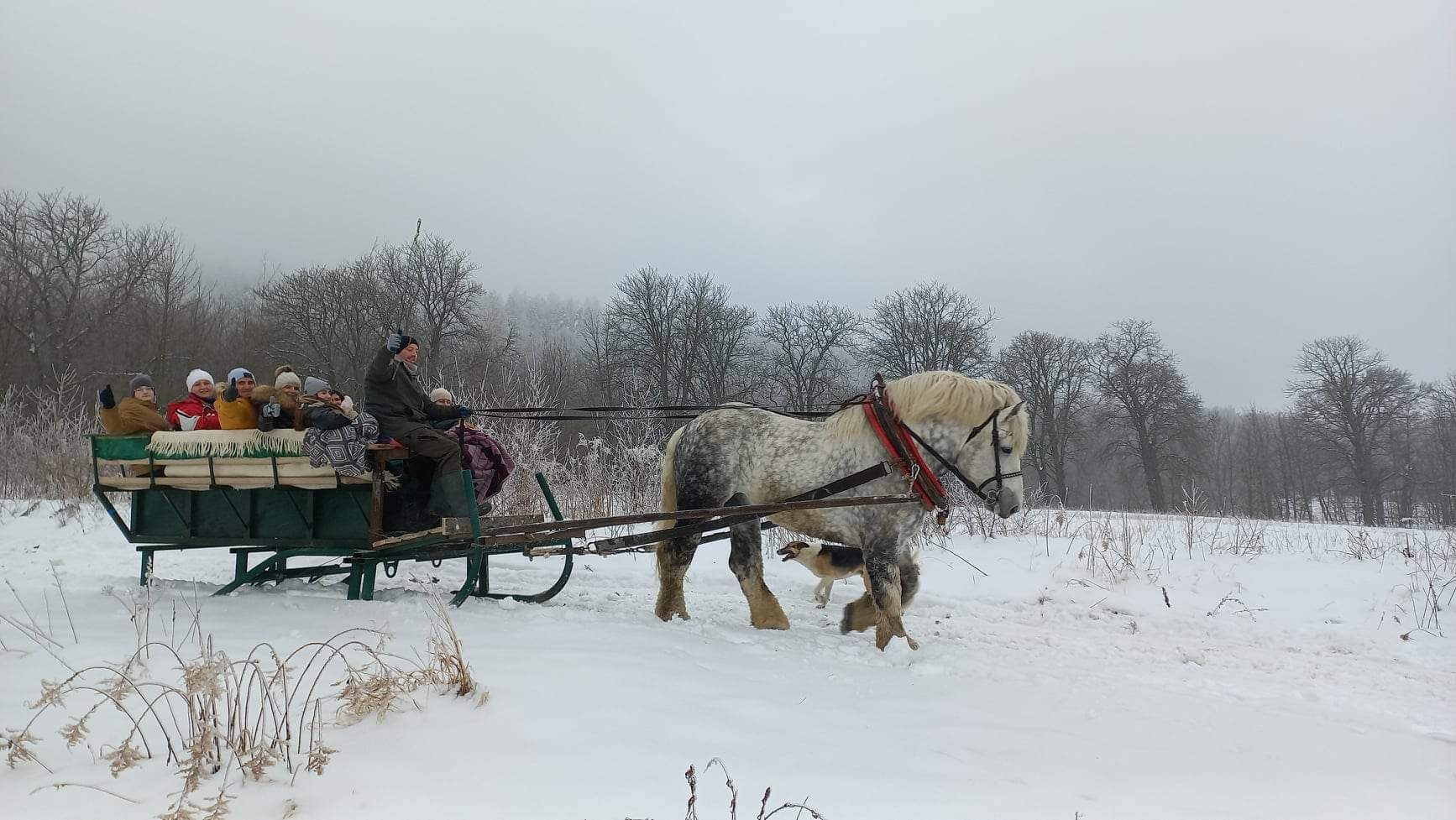 Grupa osób w saniach zaprzężonych w siwego konia z psem biegnącym obok, zimowy krajobraz w tle.
