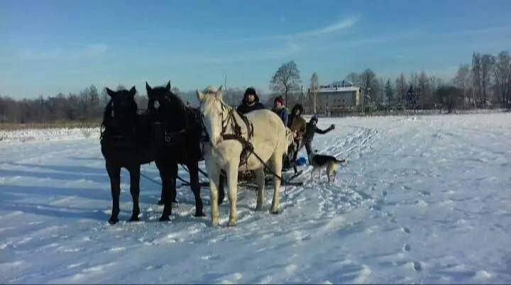 Zaprzęg konny z saniami i pasażerami na zaśnieżonym polu, pies biegnie obok, w tle budynek i drzewa.