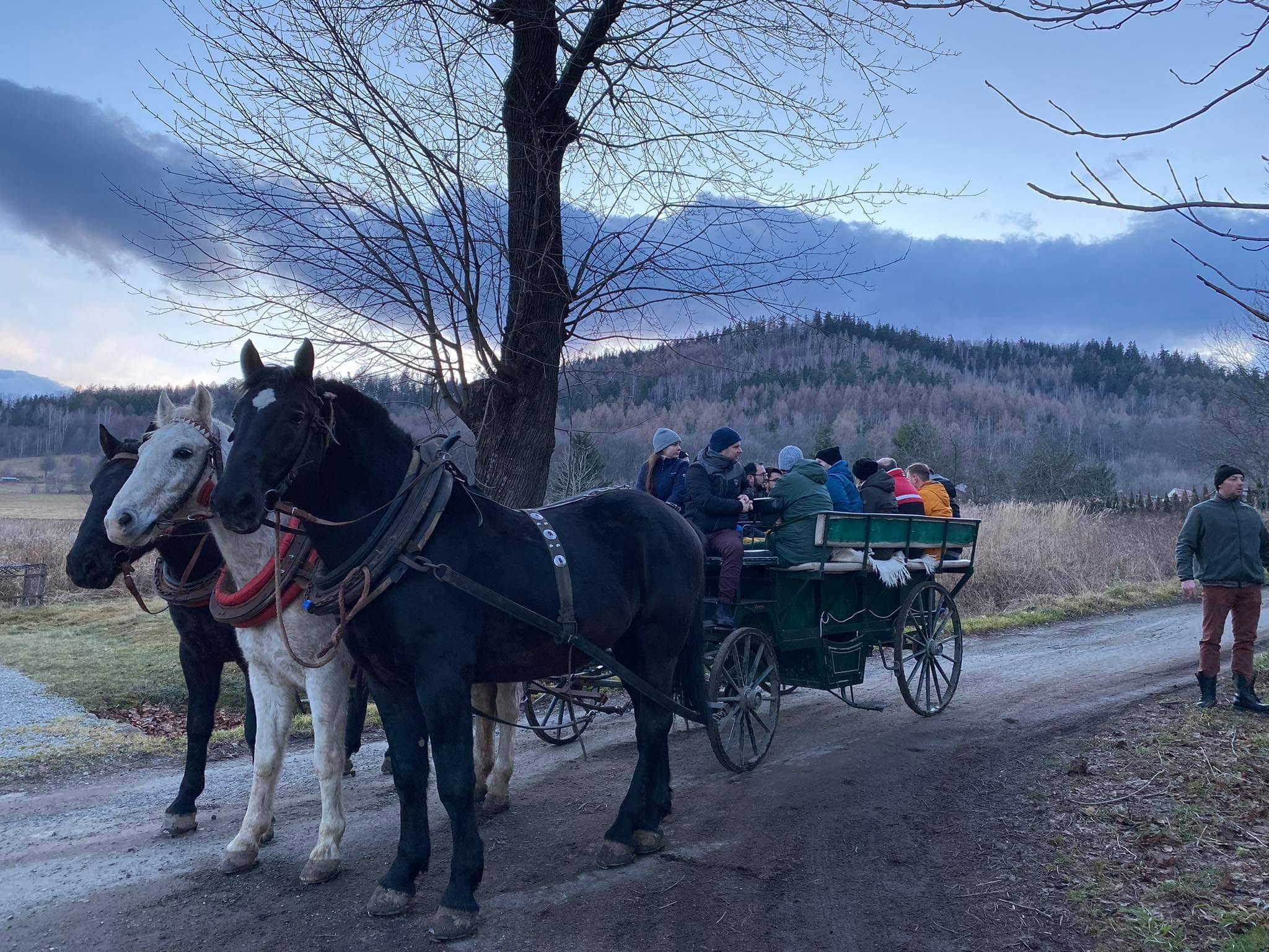 Zaprzęg konny z zielonym powozem przewozi grupę osób po polnej drodze; w tle widoczny las i pagórkowaty krajobraz pod pochmurnym niebem.