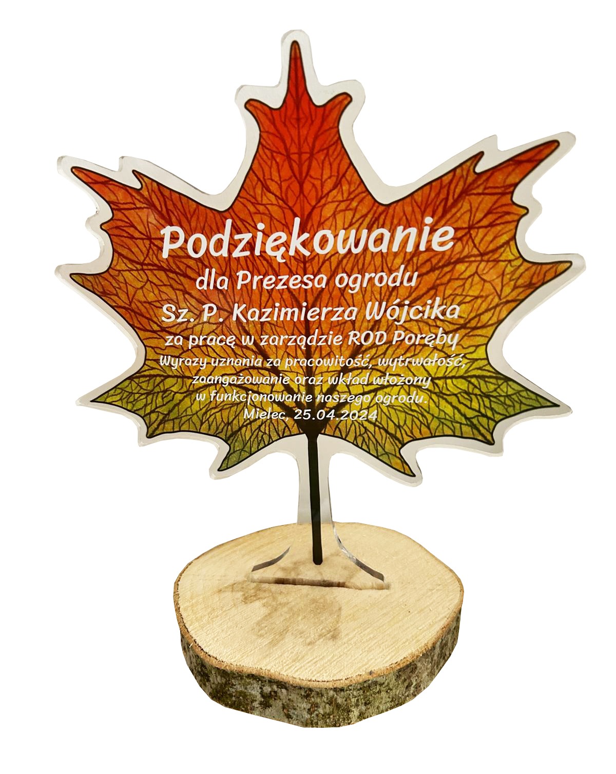 Pamiątkowa statuetka z podziękowaniem w kształcie liścia klonu, z akrylu, umieszczona na drewnianej podstawie z korą, z dedykacją dla Prezesa ogrodu działkowego Kazimierza Wójcika, Mielec, 25.04.2024.
