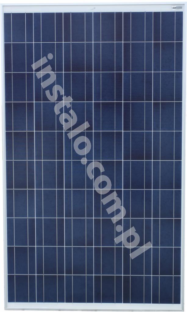 Niebieski panel słoneczny w białej ramie, widok z przodu, z delikatnym odbiciem światła i adresem strony internetowej nałożonym na powierzchnię.