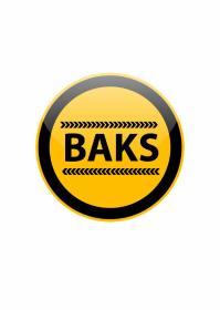 BAKS Sp. z o.o. - Doradca techniczny Katowice