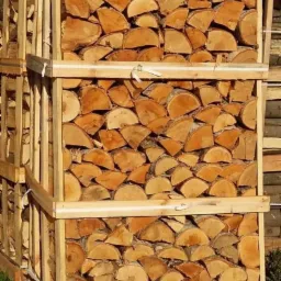 Ułożone w drewnianej skrzyni, pocięte na pół, jasne kawałki drewna kominkowego, zabezpieczone białym pasem transportowym.