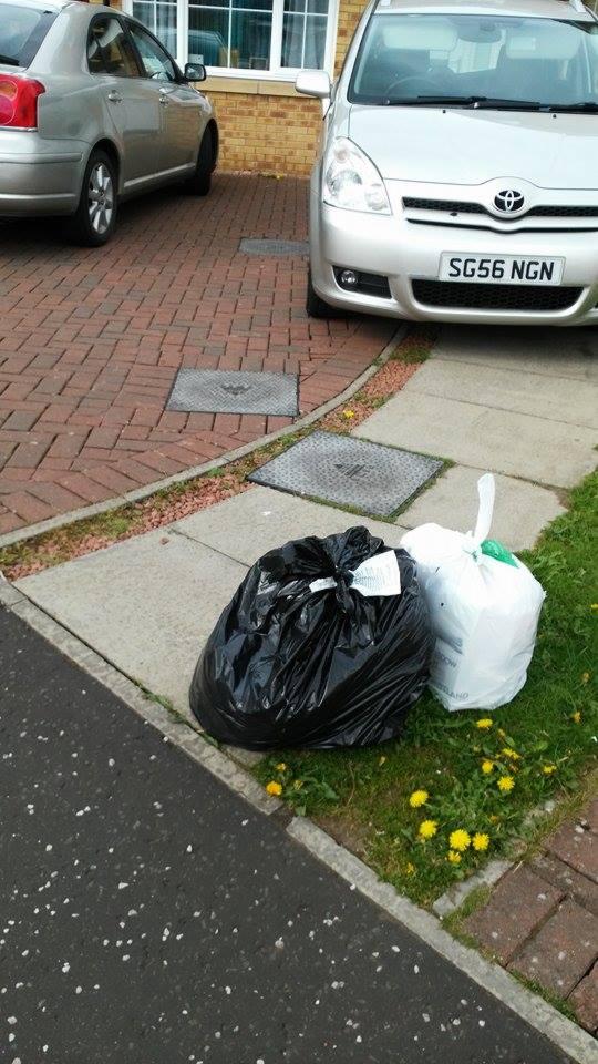 Dwa worki, czarny i biały, stoją obok siebie na trawie przed domem i zaparkowanymi samochodami. Drobne kwiaty na trawniku. Jeden worek jest podpisany.