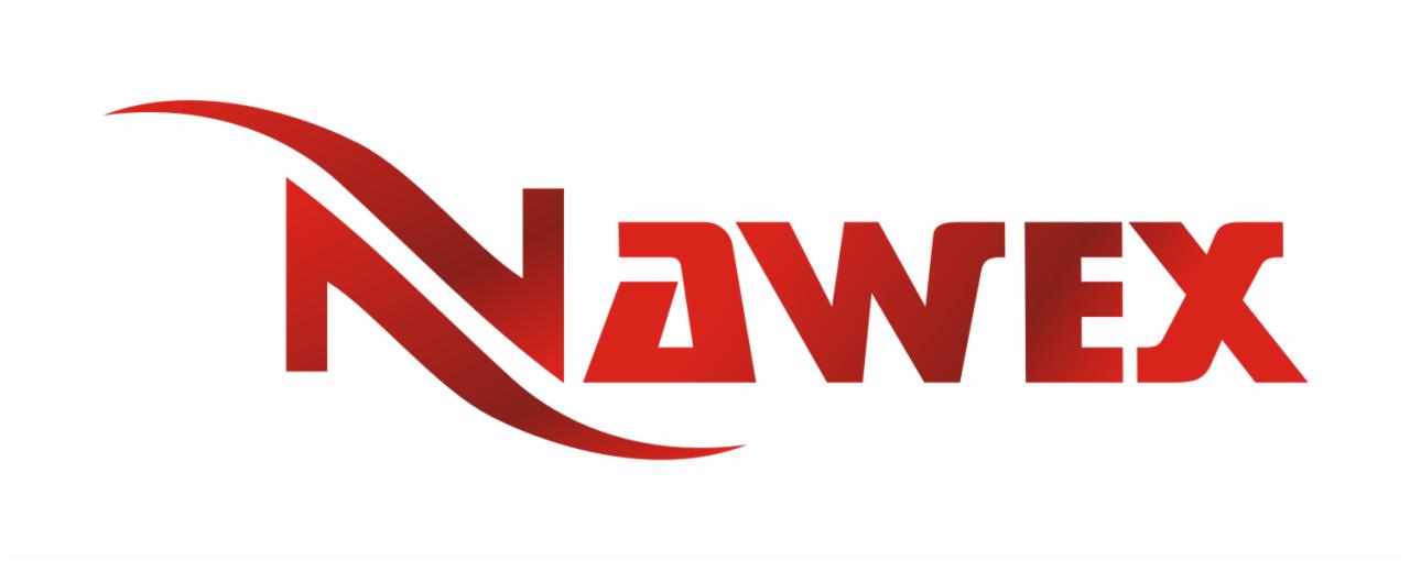 Czerwone logo 'Nawex' z dynamiczną linią nad napisem, na białym tle. Minimalistyczny design, gradient w kolorze czerwonym, wyraźna typografia.