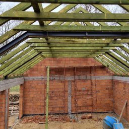 Domy murowane Dmosin 2