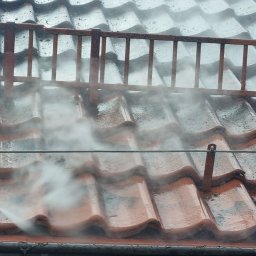 ALPADACH PAWEŁ MICHALSKI - Czyszczenie Dachówki