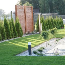 PS-OGRODY - Zadbany ogród z równo przystrzyżonym trawnikiem, szpalerem tuj wzdłuż ogrodzenia, drewnianym parawanem i ozdobnymi krzewami na białym żwirze, oświetlony porannym słońcem.