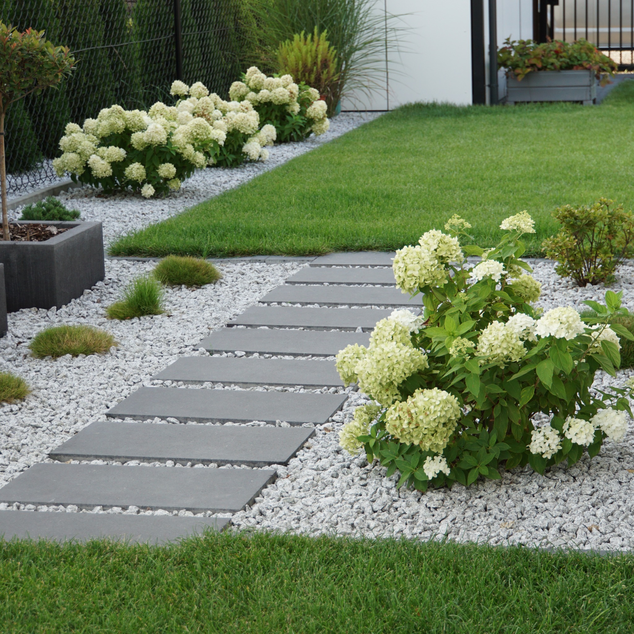 Nowoczesny ogród z prostokątnymi płytami chodnikowymi ułożonymi na białym żwirze, obok kwitnące hortensje w odcieniach bieli i zieleni, trawnik i ozdobne trawy w tle.