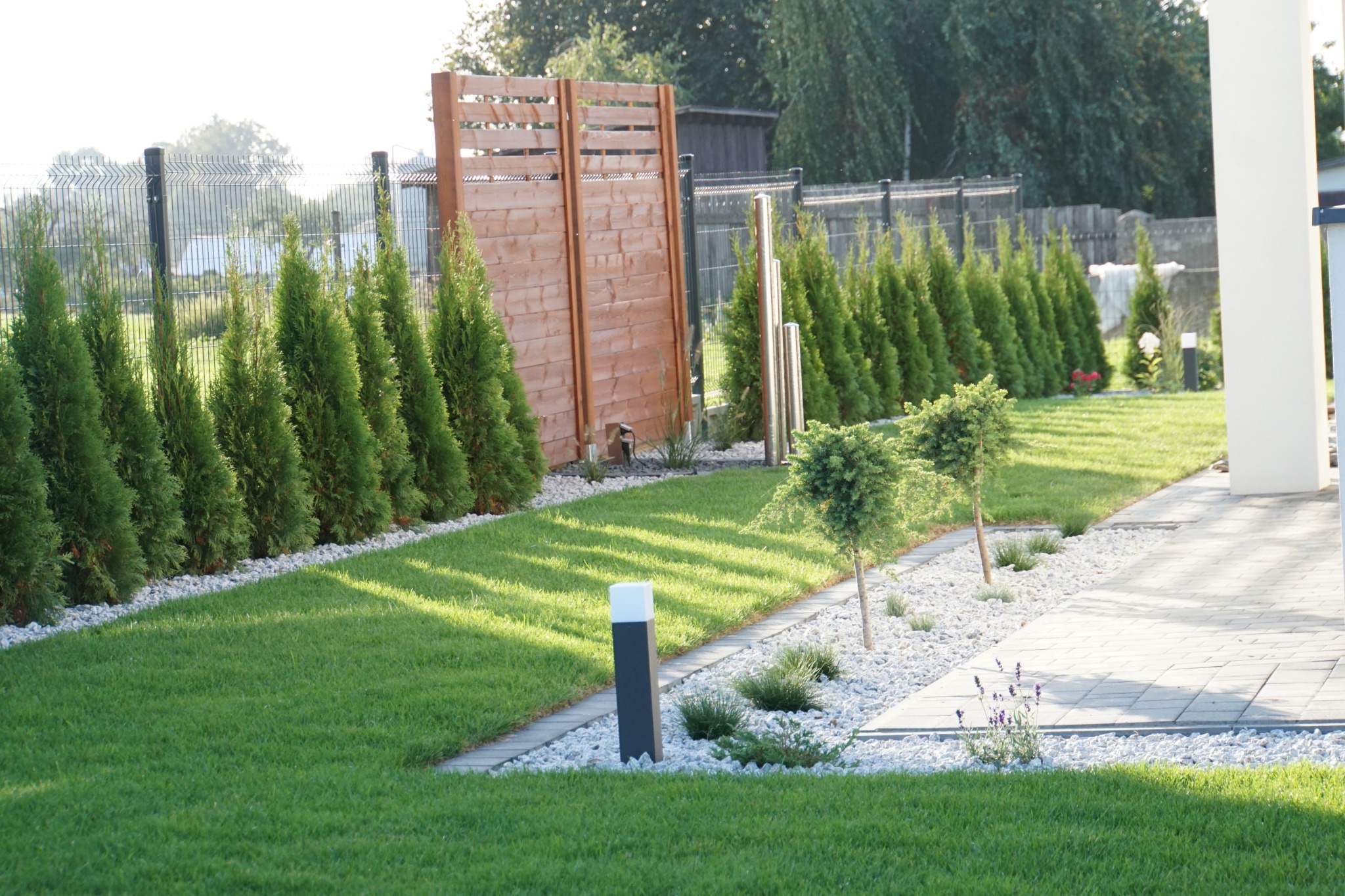 Zadbany ogród z równo przystrzyżonym trawnikiem, szpalerem tuj wzdłuż ogrodzenia, drewnianym parawanem i ozdobnymi krzewami na białym żwirze, oświetlony porannym słońcem.