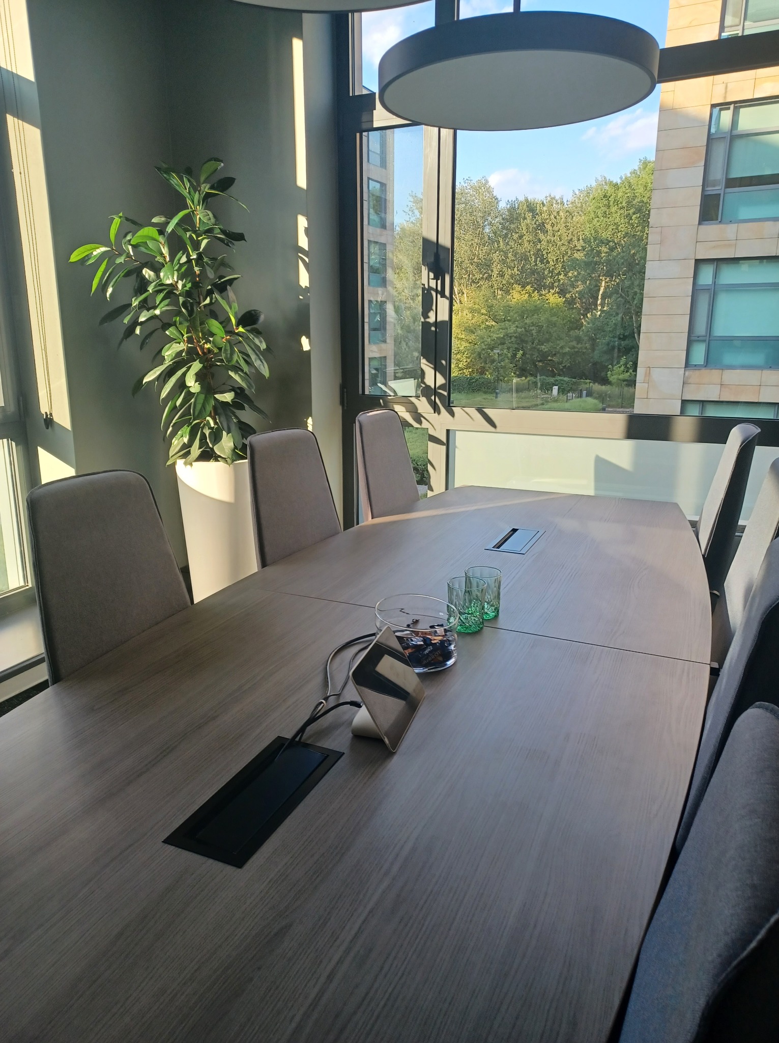 Umyta sala konferencyjna z długim stołem, szarymi krzesłami, rośliną w donicy i widokiem na zieleń za oknem. Czyste szklanki na stole.