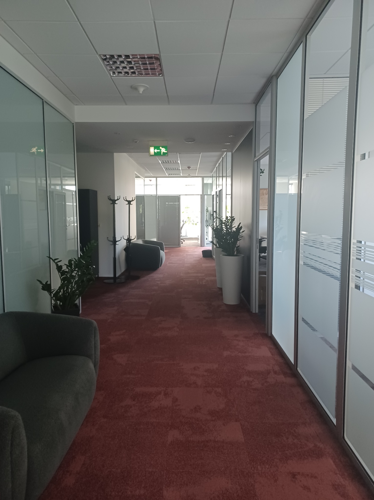 Korytarz biurowy z czerwonym dywanem, szklanymi ścianami i roślinami. Widoczny fotel i wieszak na ubrania. Oświetlenie sufitowe i znak ewakuacyjny.