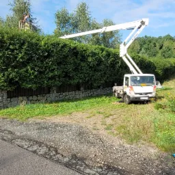 Pracownik w koszu białego pojazdu z wysięgnikiem tnie wysoki, gęsty żywopłot przy kamienno-drewnianym ogrodzeniu, błękitne niebo z chmurami w tle.