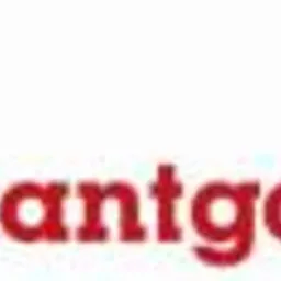 Logo firmy Avantgarde z zielonym symbolem roślinnym i czerwonym napisem. Element graficzny z motywem okiennym. Proste, czytelne logo na białym tle.