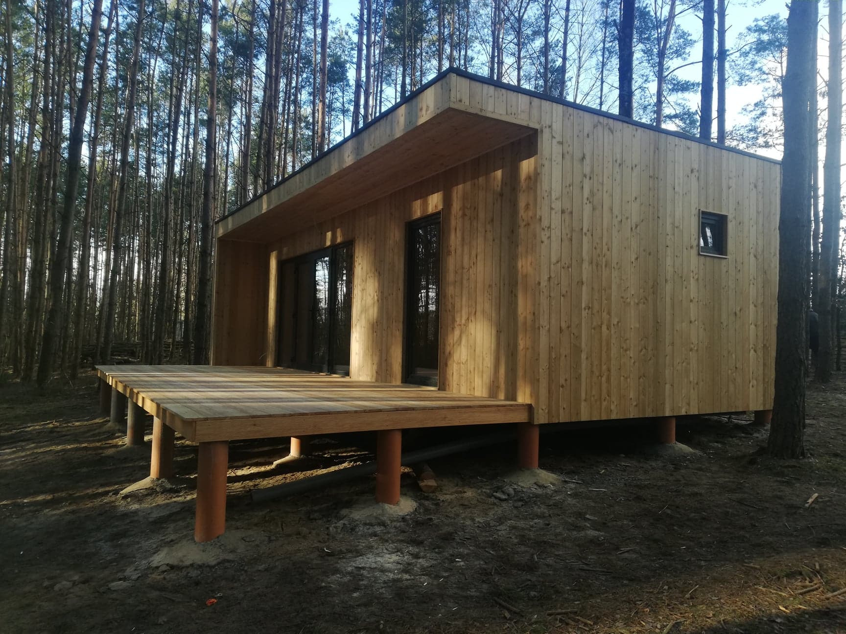 Nowoczesny, drewniany domek letniskowy z tarasem, posadowiony na słupach, otoczony lasem sosnowym w słoneczny dzień.