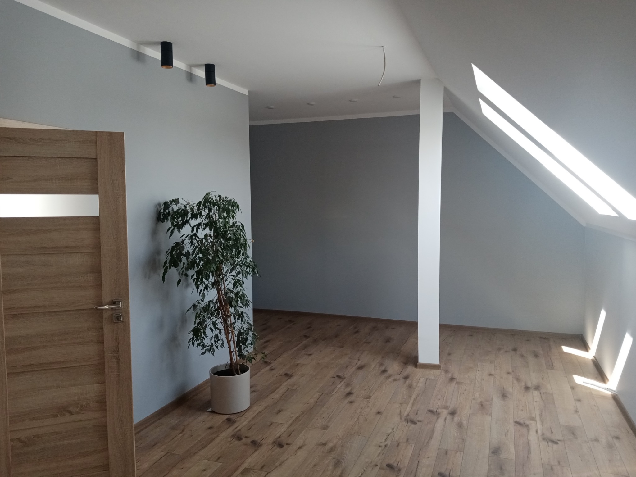 Pomalowane na szaro wnętrze poddasza z drewnianą podłogą, oświetleniem punktowym i rośliną w doniczce, widok na sąsiednie pomieszczenie przez otwartą przestrzeń.