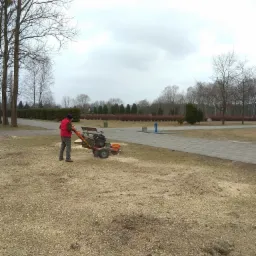Operator w czerwonej kamizelce obsługuje frezarkę do pni drzew w Warszawie, pozostawiając za sobą warstwę wiórów na trawniku.