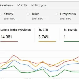 Pozycjonowanie strony internetowej