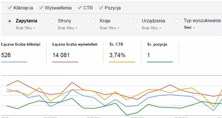Pozycjonowanie strony internetowej