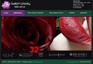 Projekt strony internetowej