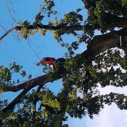 Pielęgnacja ogrodów Łódź 2