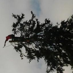 Pielęgnacja ogrodów Łódź 3