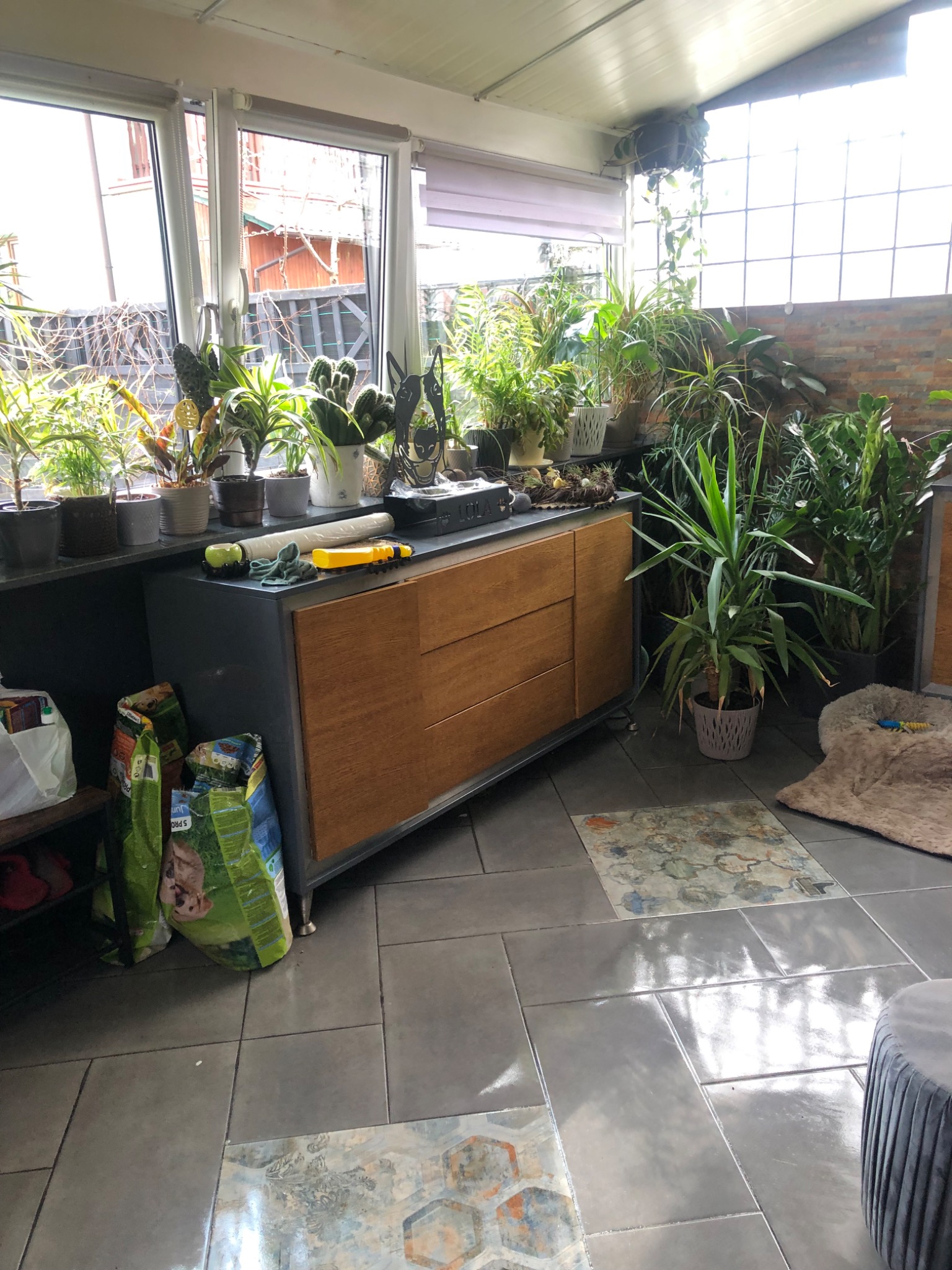 Jasna oranżeria z szarymi płytkami podłogowymi, meblami w stylu retro i kolekcją doniczkowych roślin, z widocznymi akcesoriami do sprzątania na blacie komody.