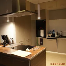 Nowoczesna kuchnia z wyspą, oświetleniem punktowym i sprzętem AGD w zabudowie. Minimalistyczny design, ciepła kolorystyka i drewniane akcenty na wyspie.