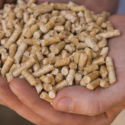 Biomasa - Dostawca Pelletu Sieradz
